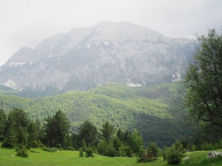 Parco nazionale di Zall-Gjoçaj