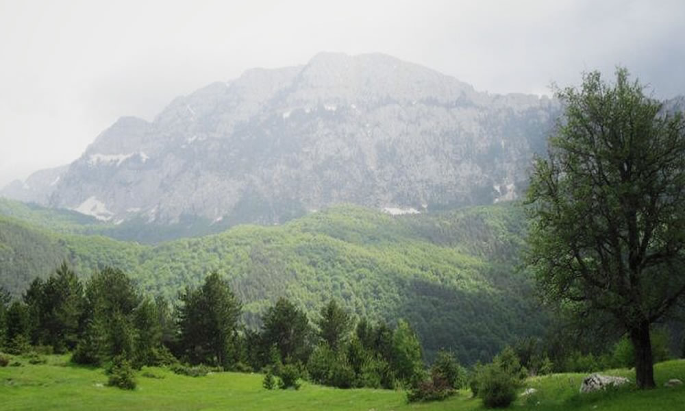 Parco nazionale di Zall-Gjoçaj